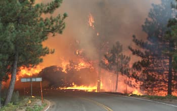 New Jersey wildfire forces evacuations after spreading 6 miles